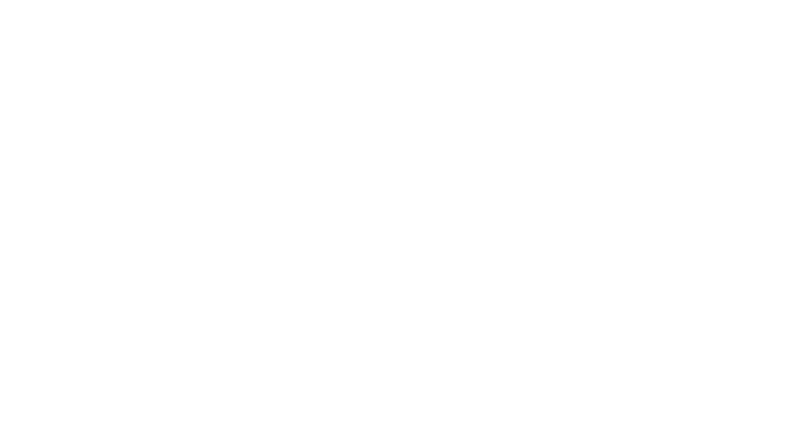 net of connections